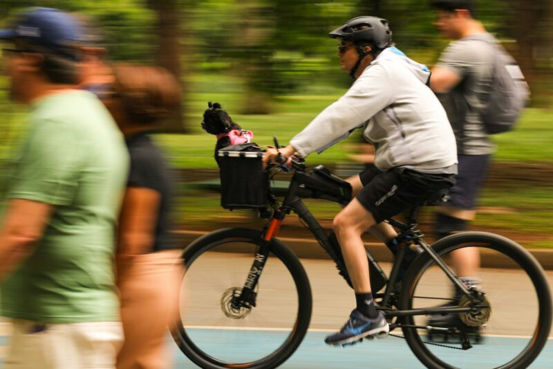 小型犬を自転車の前かごに乗せて走る男性